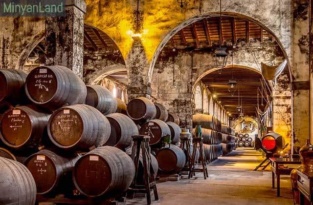 te contaremos todo lo que necesitas saber para organizar tu propia ruta gastronómica por los mercados y bodegas para que pruebes lo mejor de cada rincón de la península.