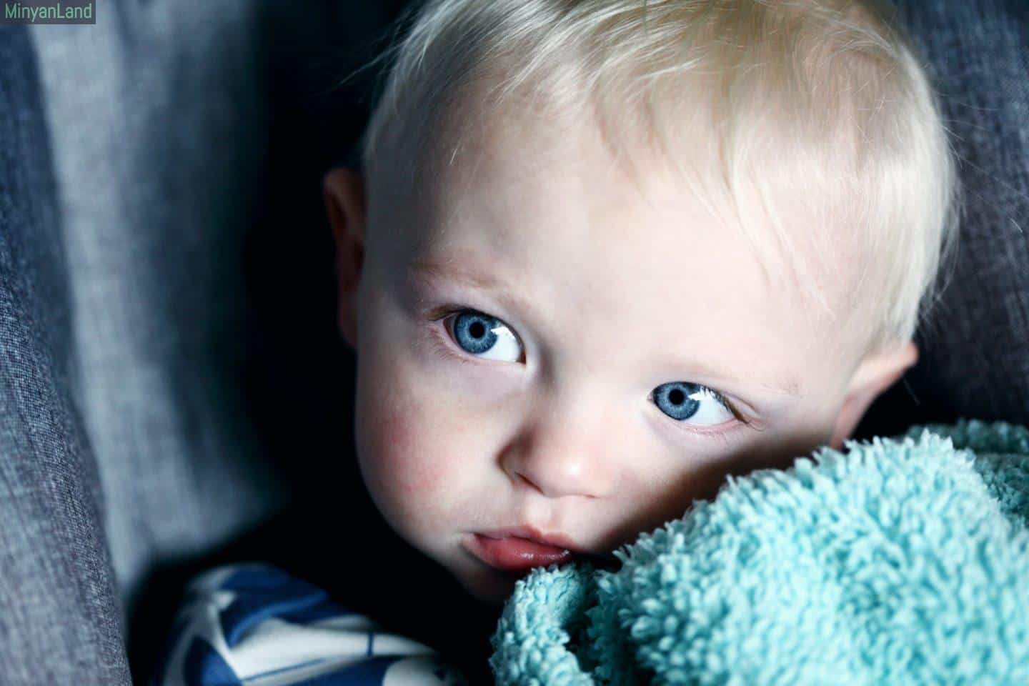 Seguridad Infantil en Coche