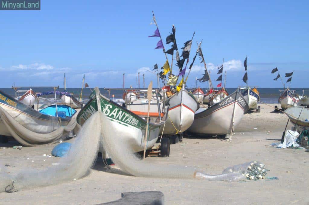 Tipos de cañas de pescar